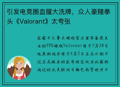 引发电竞圈血腥大洗牌，众人豪赌拳头《Valorant》太夸张