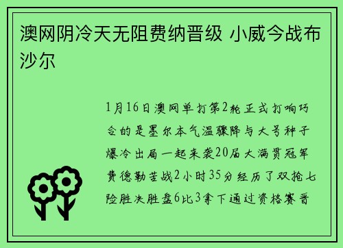 澳网阴冷天无阻费纳晋级 小威今战布沙尔