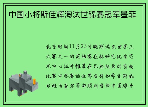 中国小将斯佳辉淘汰世锦赛冠军墨菲