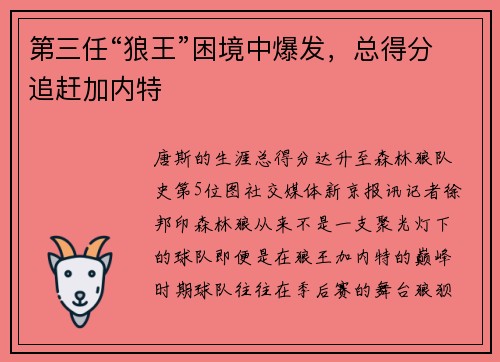 第三任“狼王”困境中爆发，总得分追赶加内特